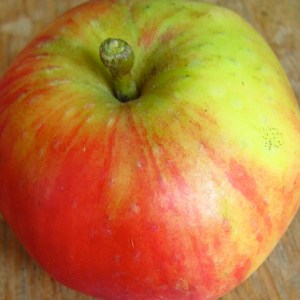 14420543969_91423d2b99_o